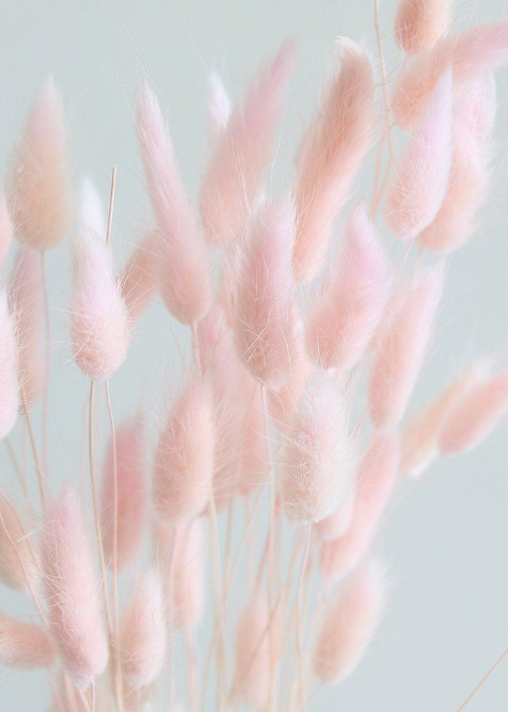 BUNNY TAILS - COTTON CANDY